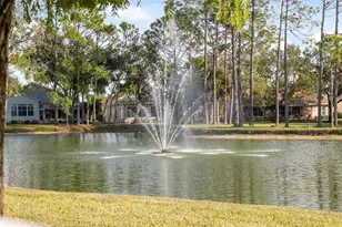 1201 Dustan Pl, Trinity, FL 34655 - Photo 58