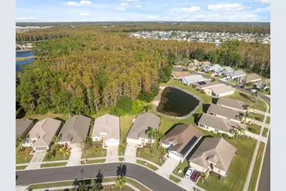 1201 Dustan Place, Trinity, FL 34655 - Photo 54