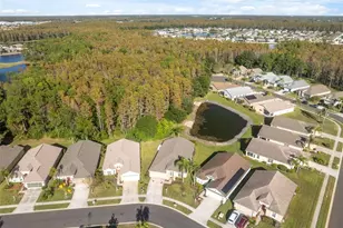 1201 Dustan Pl, Trinity, FL 34655 - Photo 54