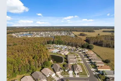 1201 Dustan Place, Trinity, FL 34655 - Photo 46