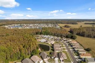 1201 Dustan Pl, Trinity, FL 34655 - Photo 46