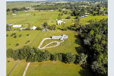 36431 Florrie Mae Lane, Dade City, FL 33523 - Photo 4