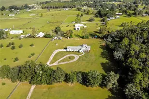 36431 Florrie Mae Ln, Dade City, FL 33523 - Photo 4