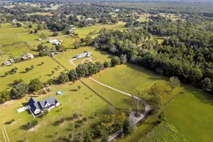 36431 Florrie Mae Ln, Dade City, FL 33523 - Photo 12