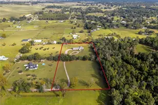 36431 Florrie Mae Ln, Dade City, FL 33523 - Photo 14