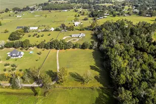 36431 Florrie Mae Ln, Dade City, FL 33523 - Photo 6