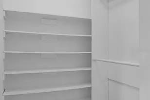 2967 Bayshore Pointe Dr, Tampa, FL 33611 - Photo 44