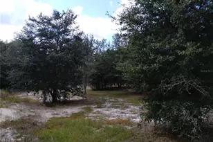 1826 SE 44th Pl, Bushnell, FL 33513 - Photo 10