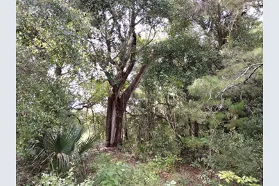 1826 SE 44th Place, Bushnell, FL 33513 - Photo 4