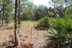 5784 N Durango Terrace, Beverly Hills, FL 34465 - Photo 4
