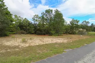 5873 W Conestoga St, Beverly Hills, FL 34465 - Photo 4