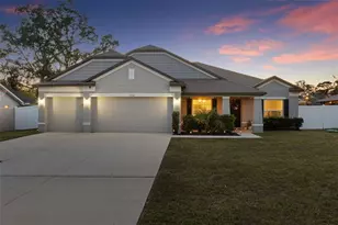 3313 Dorian Ave, Spring Hill, FL 34606 - Photo 1