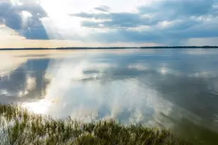 1615 Bellagio Loop, Tavares, FL 32778 - Photo 36