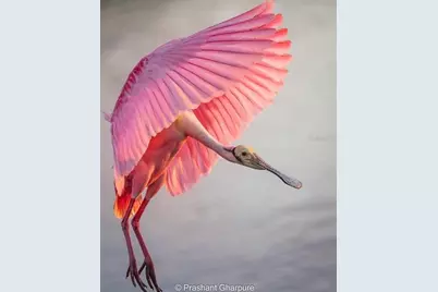 7353 Banner Street, New Port Richey, FL 34653 - Photo 50