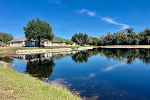 8606 Reedville St, New Port Richey, FL 34654 - Photo 58