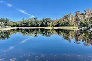 8606 Reedville St, New Port Richey, FL 34654 - Photo 2