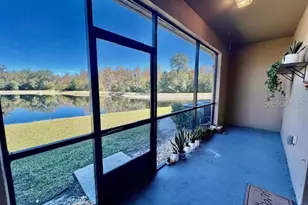 8606 Reedville St, New Port Richey, FL 34654 - Photo 48