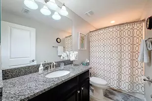 28520 Tranquil Lake Cir, Wesley Chapel, FL 33543 - Photo 14