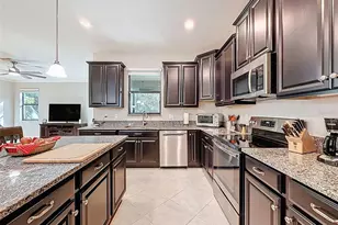 28520 Tranquil Lake Cir, Wesley Chapel, FL 33543 - Photo 4