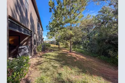 28520 Tranquil Lake Circle, Wesley Chapel, FL 33543 - Photo 20