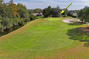 7519 Berna Ln, Land O Lakes, FL 34637 - Photo 64