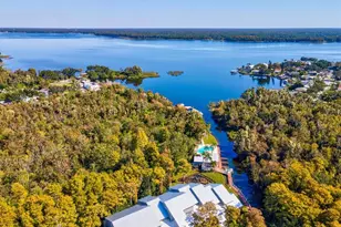 2577 Dolly Bay Dr, Palm Harbor, FL 34684 - Photo 38