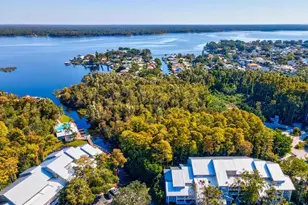 2577 Dolly Bay Dr, Palm Harbor, FL 34684 - Photo 46