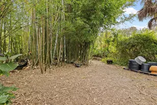 8551 Pratt Dr, New Port Richey, FL 34654 - Photo 72