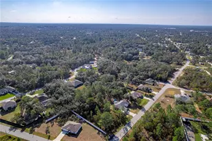 12184 Lark Sparrow Rd, Weeki Wachee, FL 34614 - Photo 36