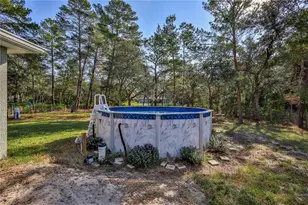 12184 Lark Sparrow Rd, Weeki Wachee, FL 34614 - Photo 56