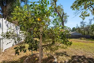 9013 Nakoma Way, Weeki Wachee, FL 34613 - Photo 48