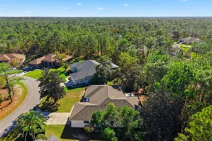 16 Nephthytis Ct, Homosassa, FL 34446 - Photo 40