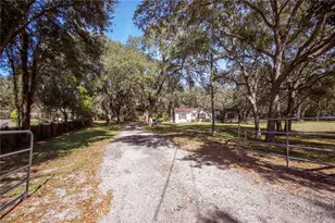 13117 Media Ln, Hudson, FL 34667 - Photo 2