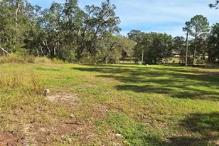 13117 Media Ln, Hudson, FL 34667 - Photo 88