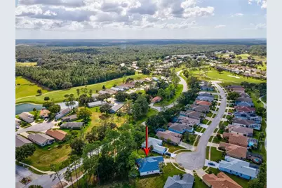 11802 Wayside Willow Court, Hudson, FL 34667 - Photo 44