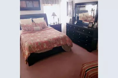 6543 Pine Walk Drive, New Port Richey, FL 34655 - Photo 10