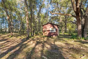 26861 Mondon Hill Rd, Brooksville, FL 34601 - Photo 38