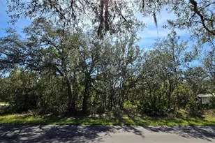 1 Buckeye Ct, Homosassa, FL 34446 - Photo 1