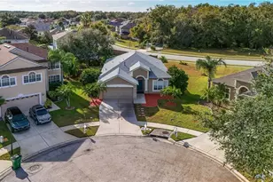 27211 Liriope Ct, Wesley Chapel, FL 33544 - Photo 36