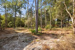3434 S Aberdeen Terrace, Homosassa, FL 34448 - Photo 42