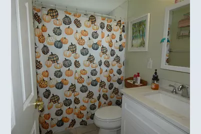 13231 Carol Drive, Hudson, FL 34667 - Photo 44