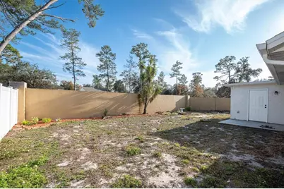 10230 Maverick Street, New Port Richey, FL 34654 - Photo 30