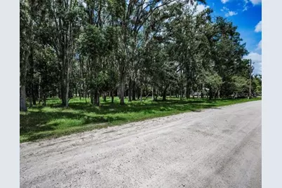 4635 Cobb Road, Land O Lakes, FL 34638 - Photo 6