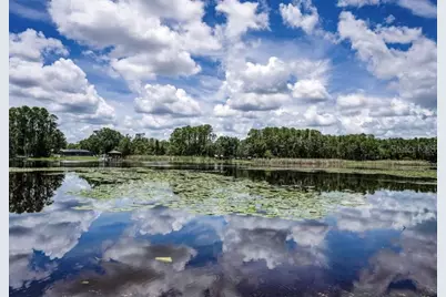 4635 Cobb Road, Land O Lakes, FL 34638 - Photo 4