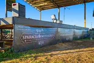 21509 Snow Hill Rd, Brooksville, FL 34601 - Photo 12