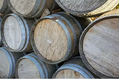 21509 Snow Hill Road, Brooksville, FL 34601 - Photo 16