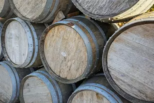 21509 Snow Hill Rd, Brooksville, FL 34601 - Photo 16