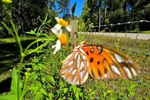 5043 Goodwin Rd, Brooksville, FL 34601 - Photo 36