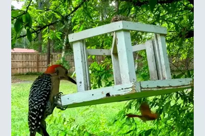 5043 Goodwin Road, Brooksville, FL 34601 - Photo 34