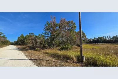 16392 Curlew Road, Brooksville, FL 34614 - Photo 4